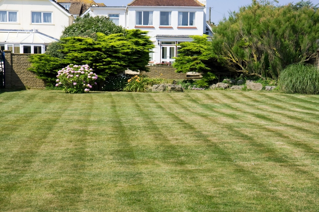 best lawn care canadian grown local businesses